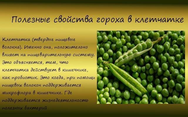 Консервированный зеленый горошек: калорийность, польза и вред :: syl.ru