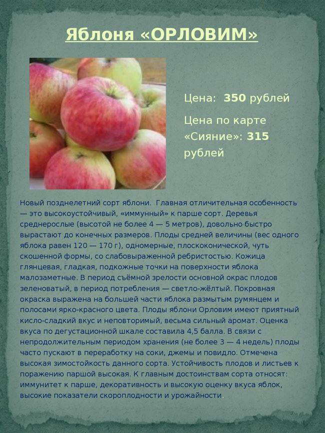 Сортовые особенности яблони ауксис