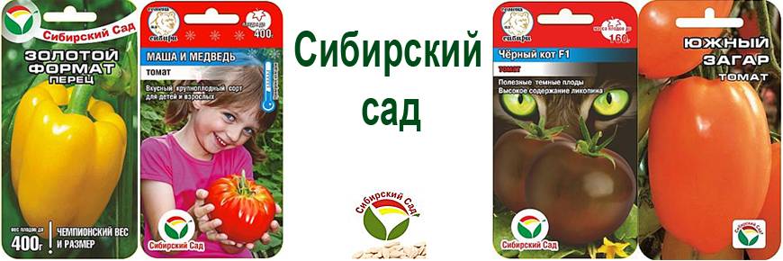 Семена томатов сибирской селекции: самые урожайные и лучшие сорта, новинки и отзывы.