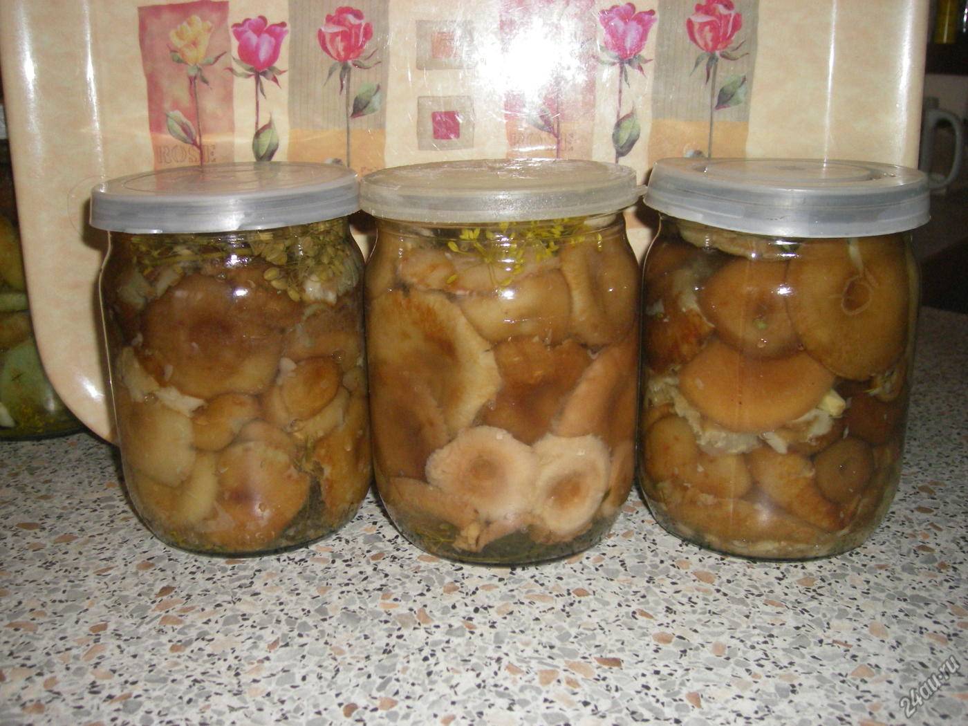 Как солить грибы на зиму в домашних условиях — рецепты для опят, груздей, рыжиков, волнушек, шампиньонов