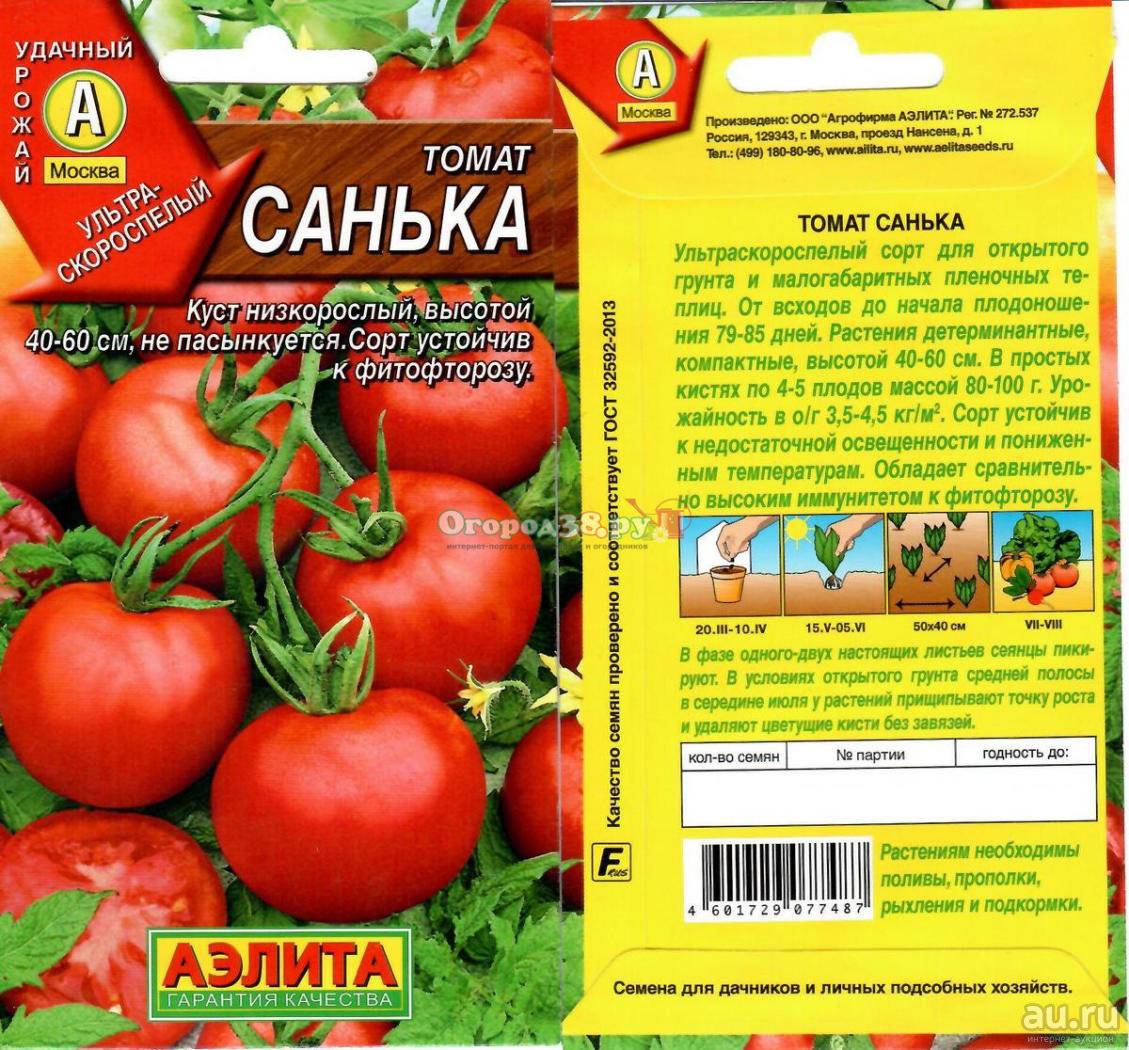 Лучшие сорта низкорослых томатов