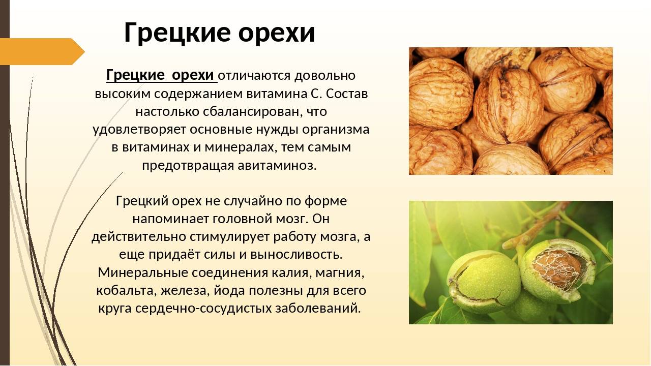 Свойства арахиса. польза и вред орешков для организма человека
