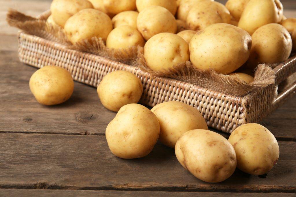 Сорт картофеля наташа