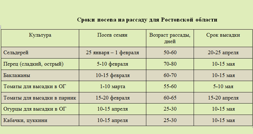 Когда высаживать семена томатов