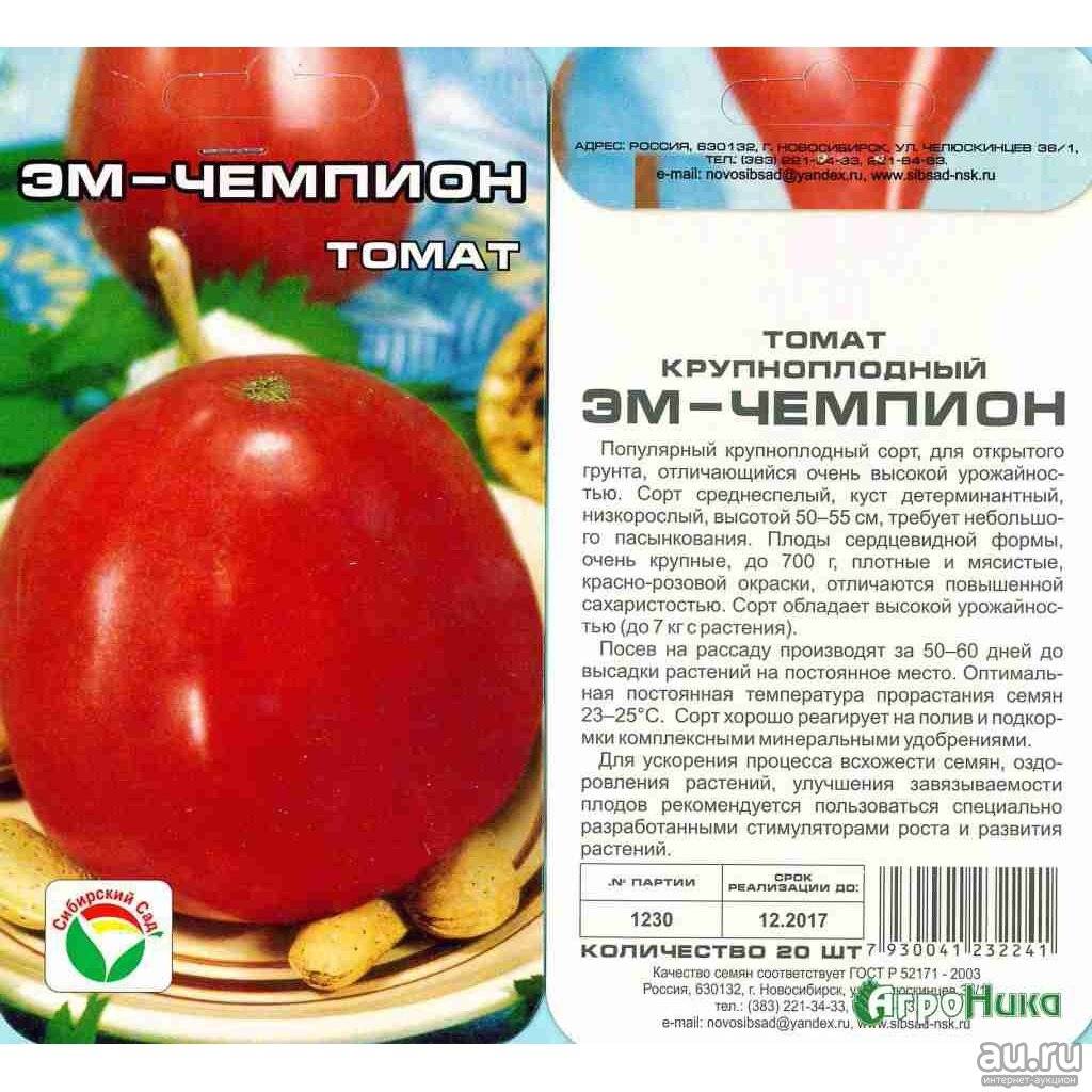 Томат "эм чемпион": описание, характеристика сорта, кто сажал, особенности помидоров русский фермер