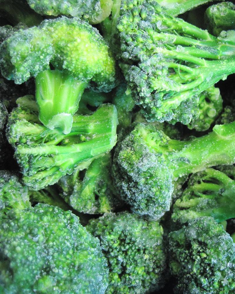 Как заготовить брокколи на зиму: запасаем свежие витамины