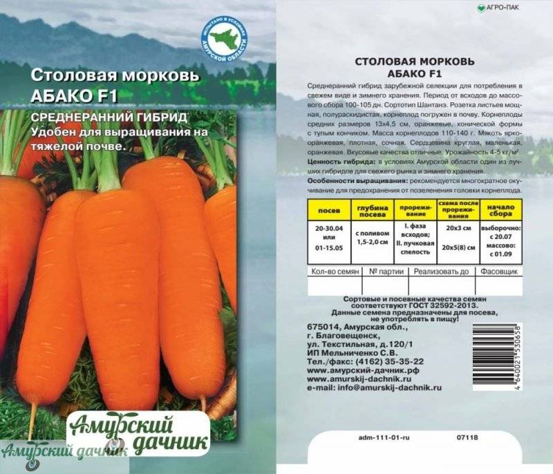 Описание сорта моркови Абако и выращивание из семян