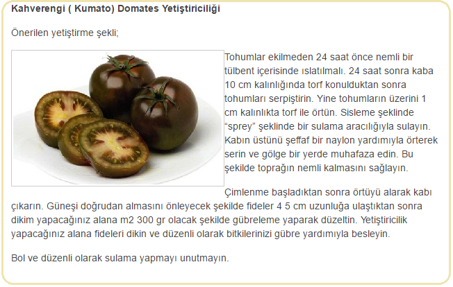 Черный томат «кумато»: характеристика сорта, описание агротехники, особенности ухода