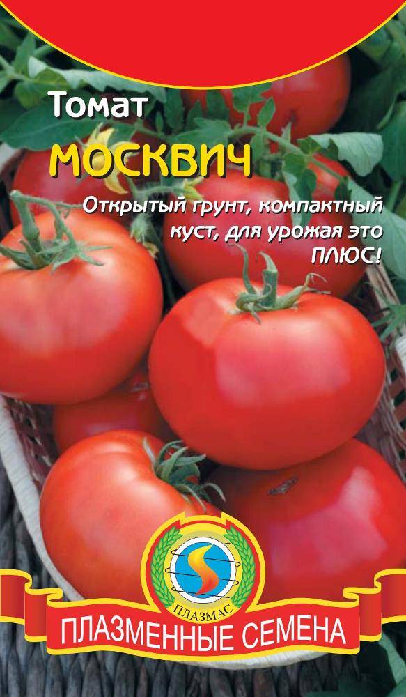 Томат москвич – характеристика и описание сорта, фото, урожайность, достоинства, недостатки, отзывы