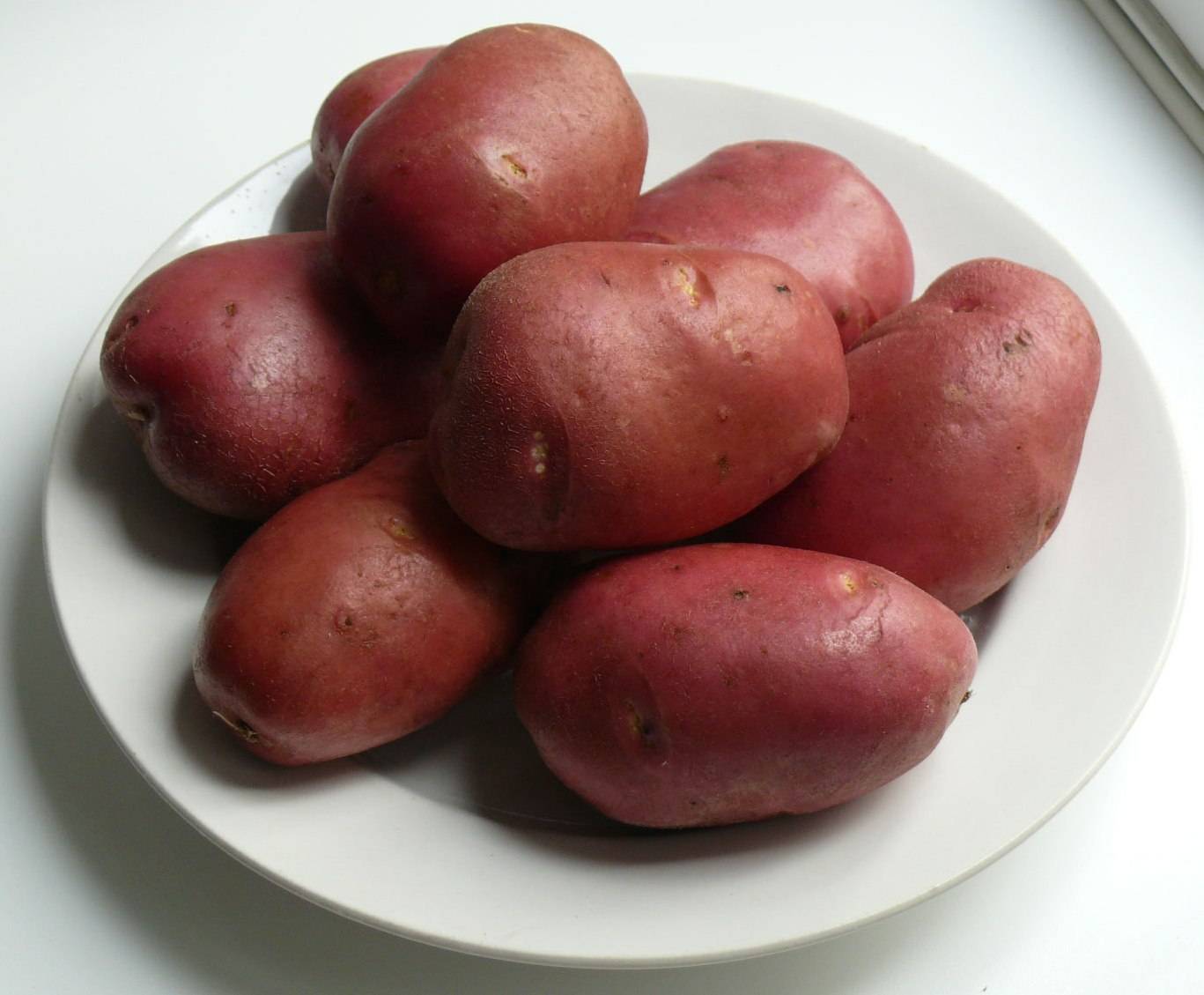 Сорт картофеля рокко: описание и характеристика, отзывы