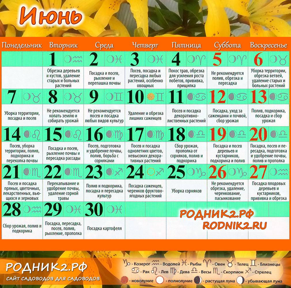 Лунный календарь огородника и садовода на сентябрь 2021 года