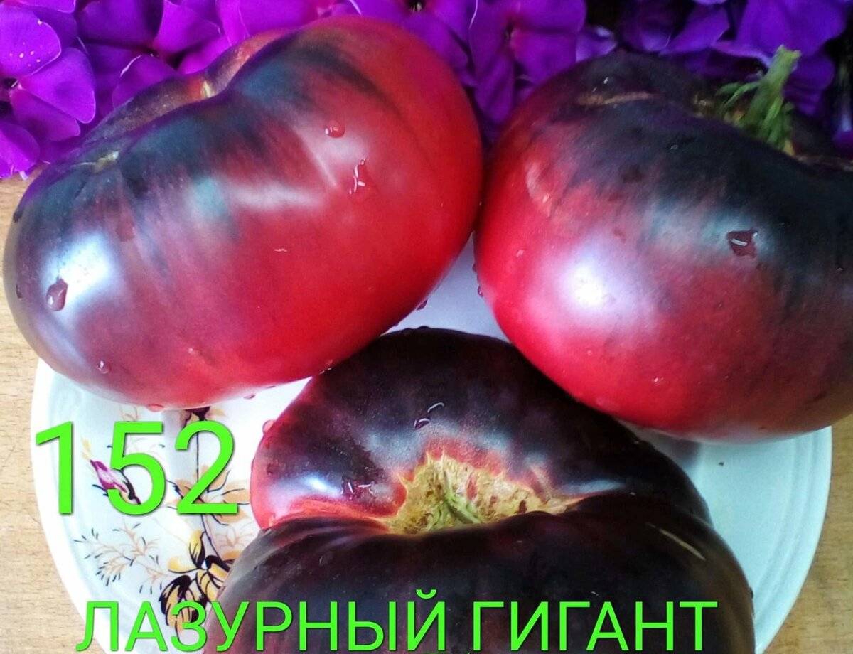 Подводим итоги: томат 'лазурный гигант' f1 от русского огорода