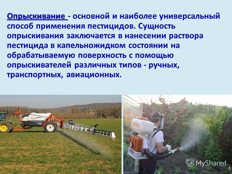 Пестициды это... применение. загрязнение пестицидами :: syl.ru