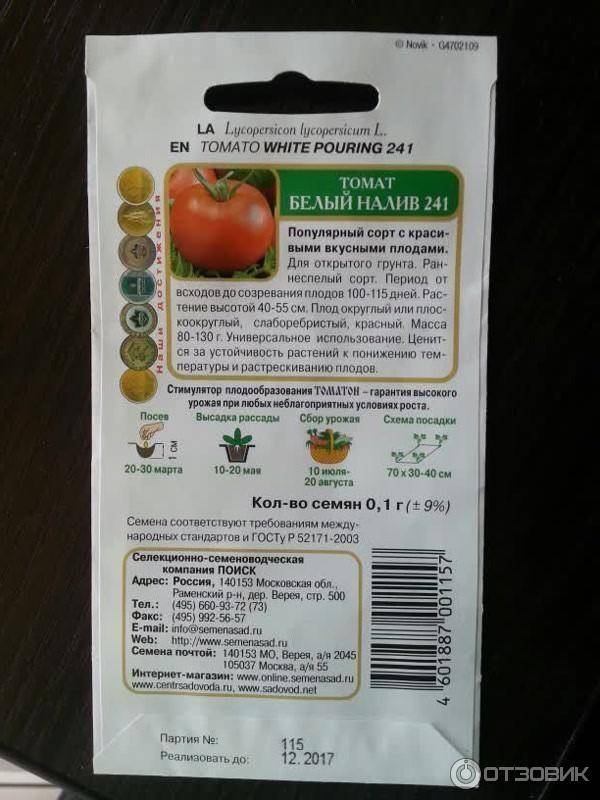 Томат "белый налив 241": описание и характеристика сорта, фото и особенности выращивания помидор русский фермер