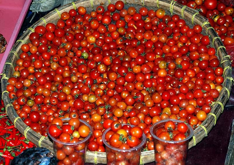 Завораживающий сорт томата «рапунцель»: описание и фото, особенности выращивания