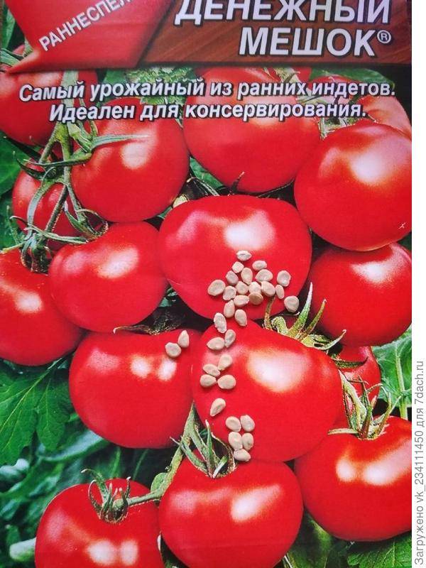 Как выращивать томаты: подробная инструкция