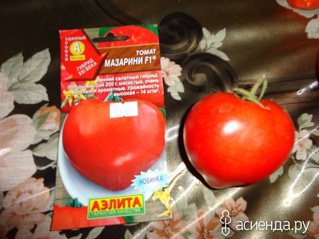 Классический сорт томатов «кардинал»