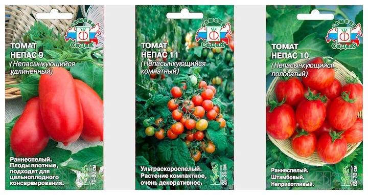 Сорт томата сибирский скороспелый - описание, отзывы