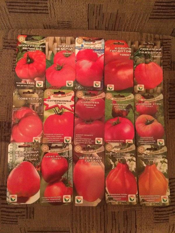 Сибирский сад помидоры: обзор сортов с описанием и фото
