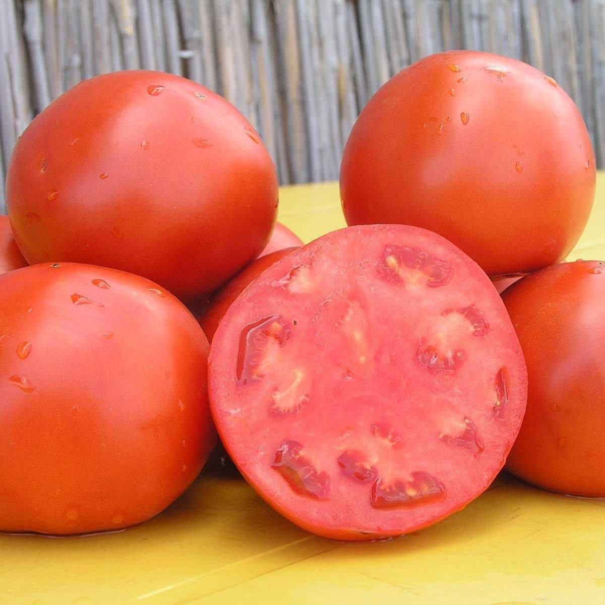 Замечательные вкусовые показатели и достойная урожайность — томат скиф f1: описание и характеристики сорта