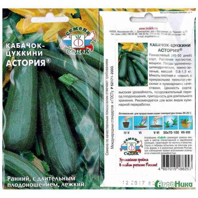 Кабачок «негритёнок» отзывы, фото, описание сорта цуккини, выращивание в открытом грунте