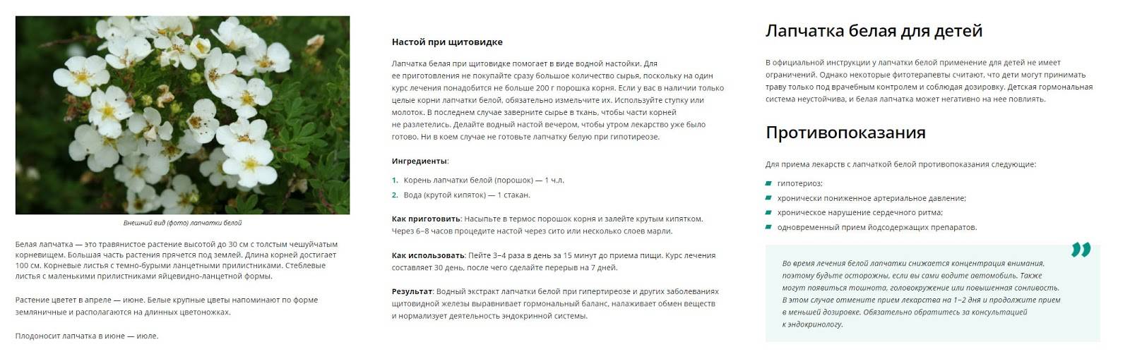 Лапчатка белая описание и фото на supersadovnik.ru