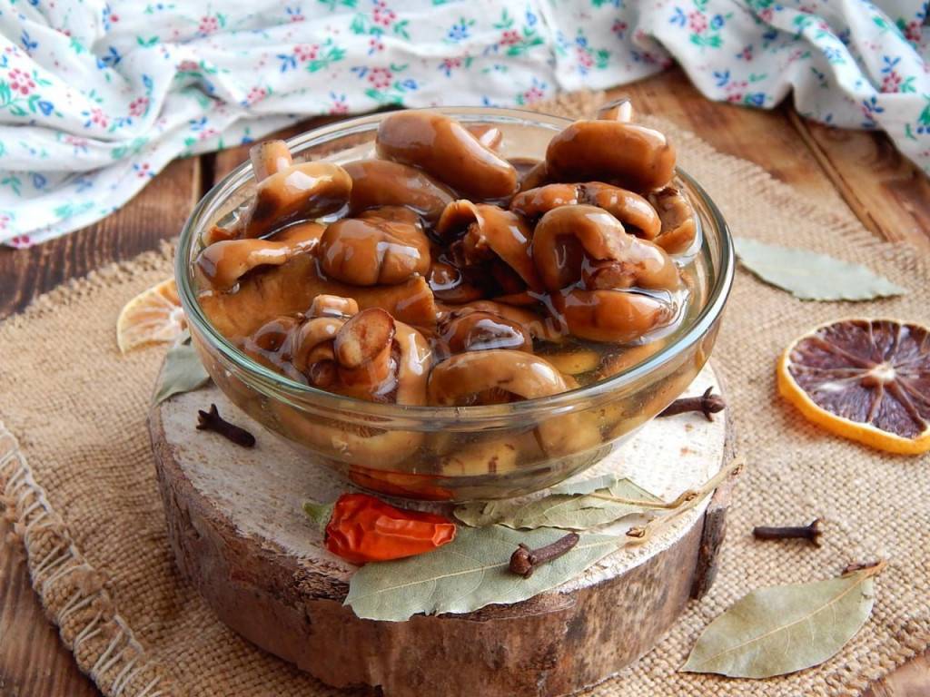 Как быстро и вкусно засолить рыжики в домашних условиях: рецепты засолки грибов