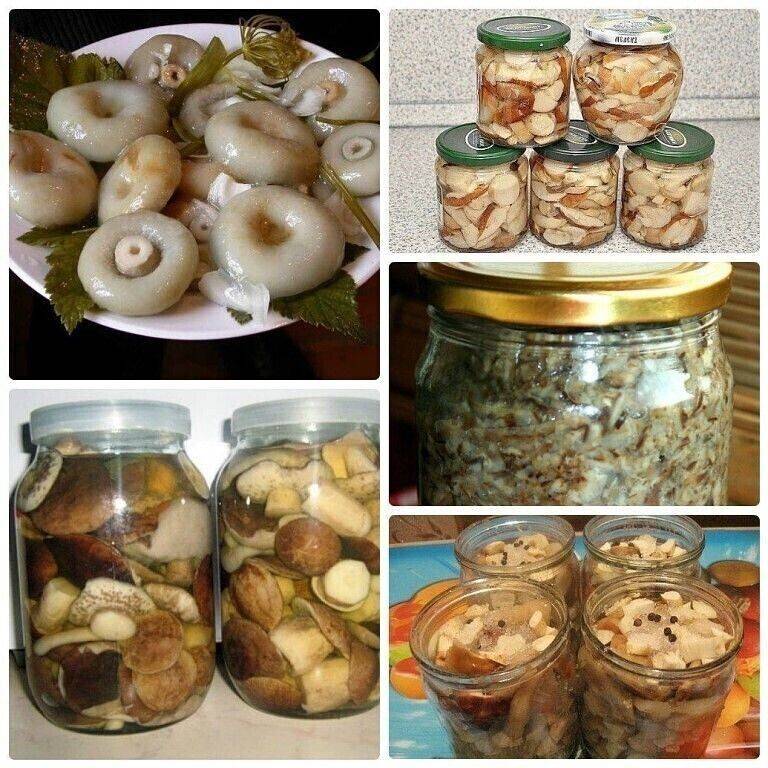 Простые рецепты как на зиму солить грибы горячим и холодным способом в домашних условиях