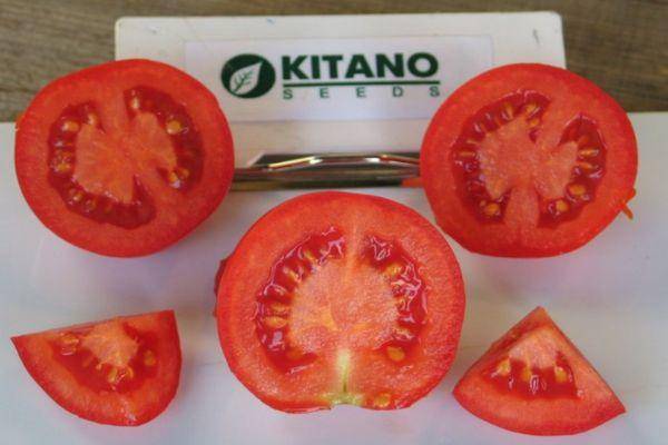 Сорта томатов f1: самые вкусные, крупные и для открытого грунта