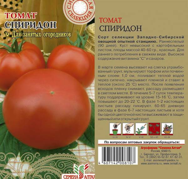 Новые сорта томатов на 2022 год сибирской селекции: особенности видов, популярные наименования, их преимущества и недостатки