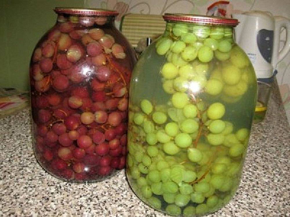 Виноградный компот — 10 самых простых и очень вкусных рецептов