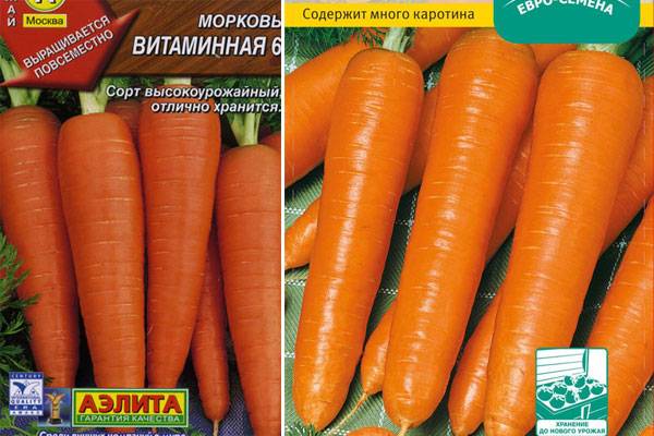 Морковь: описание 28 лучших сортов, характеристика (фото & видео) | +отзывы