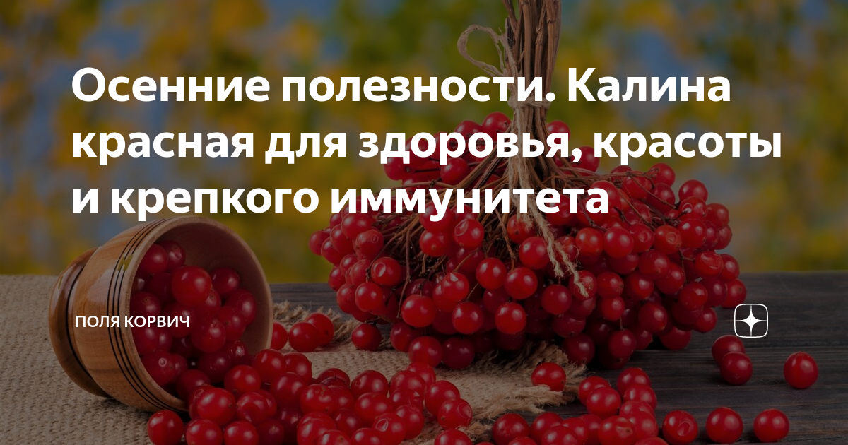 Калина полезные свойства и противопоказания. Калина красная ягода от давления. Калина красная полезные свойства. Калина красная в косметологии. О пользе калины для здоровья.