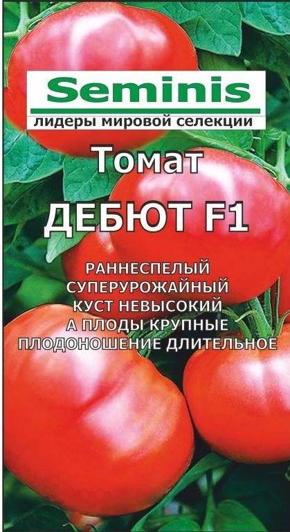 Томат дебют f1: описание раннего низкорослого сорта и отзывы огородников о выращивании, вкусовые качества, урожайность