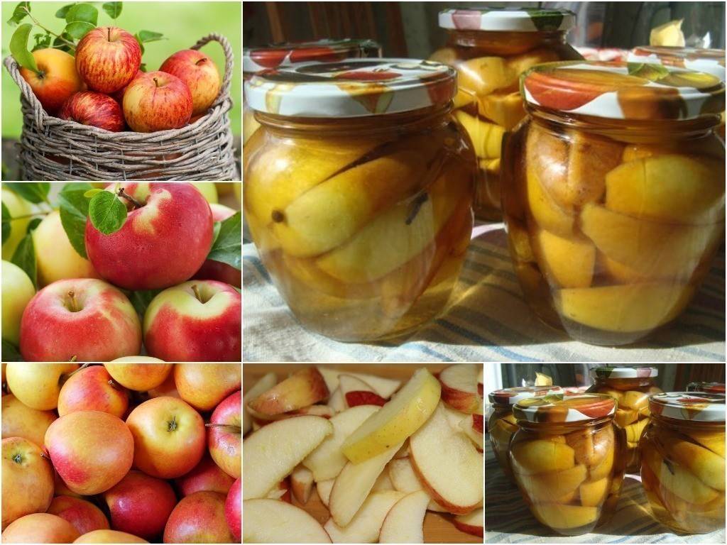 Яблочный джем: подборка популярных рецептов на зиму