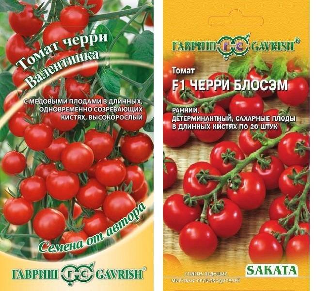 Самые урожайные и лучшие сорта томата для открытого грунта