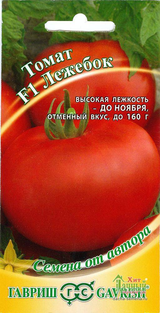 Описание томата Лежебок f1: правила выращивания и уход