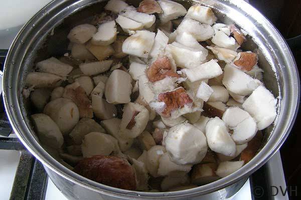 Белые грибы на зиму. как заготовить быстро и правильно