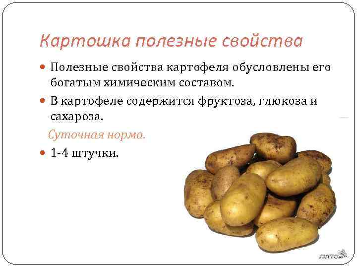 Картофель: польза и вред для здоровья человека