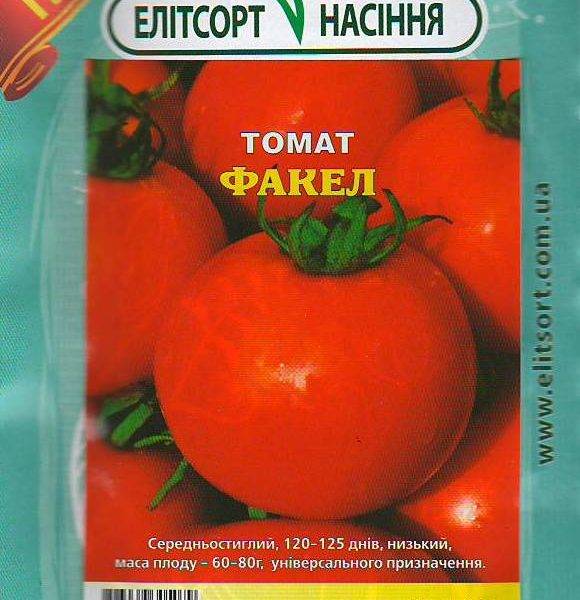 Описание томата Факел и характеристика плодов, выращивание и правила посадки