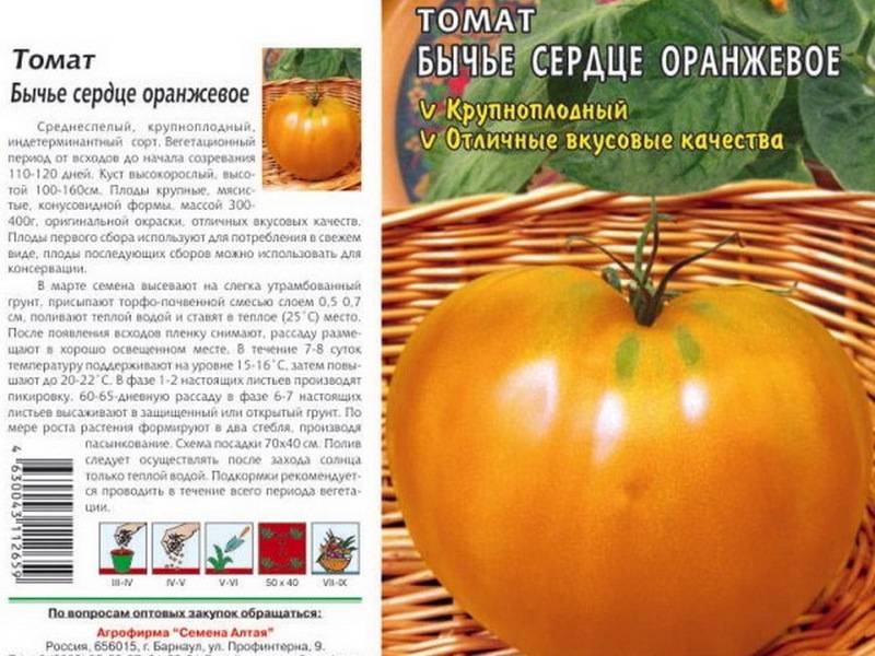 Томат оранжевое чудо: характеристика и описание детерминантного сорта с фото