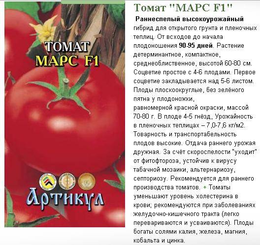Описание томата амулет, характеристика плодов и борьба с вредителями