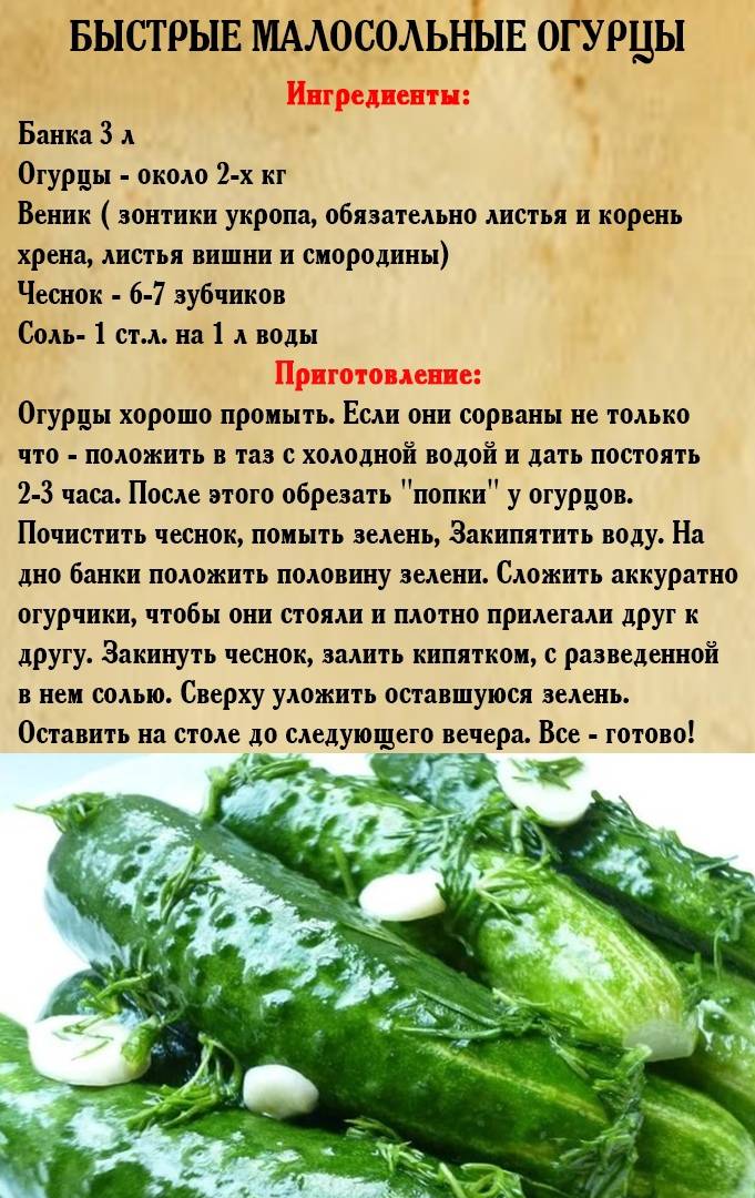 Укроп - рецепты консервирования