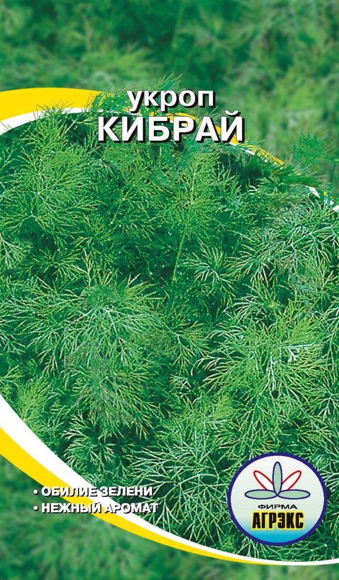 Укроп кибрай: описание сорта, выращивание, уход и урожайность с фото