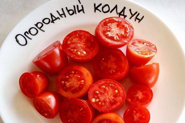 Описание сорта томата огородный колдун, его характеристика и урожайность