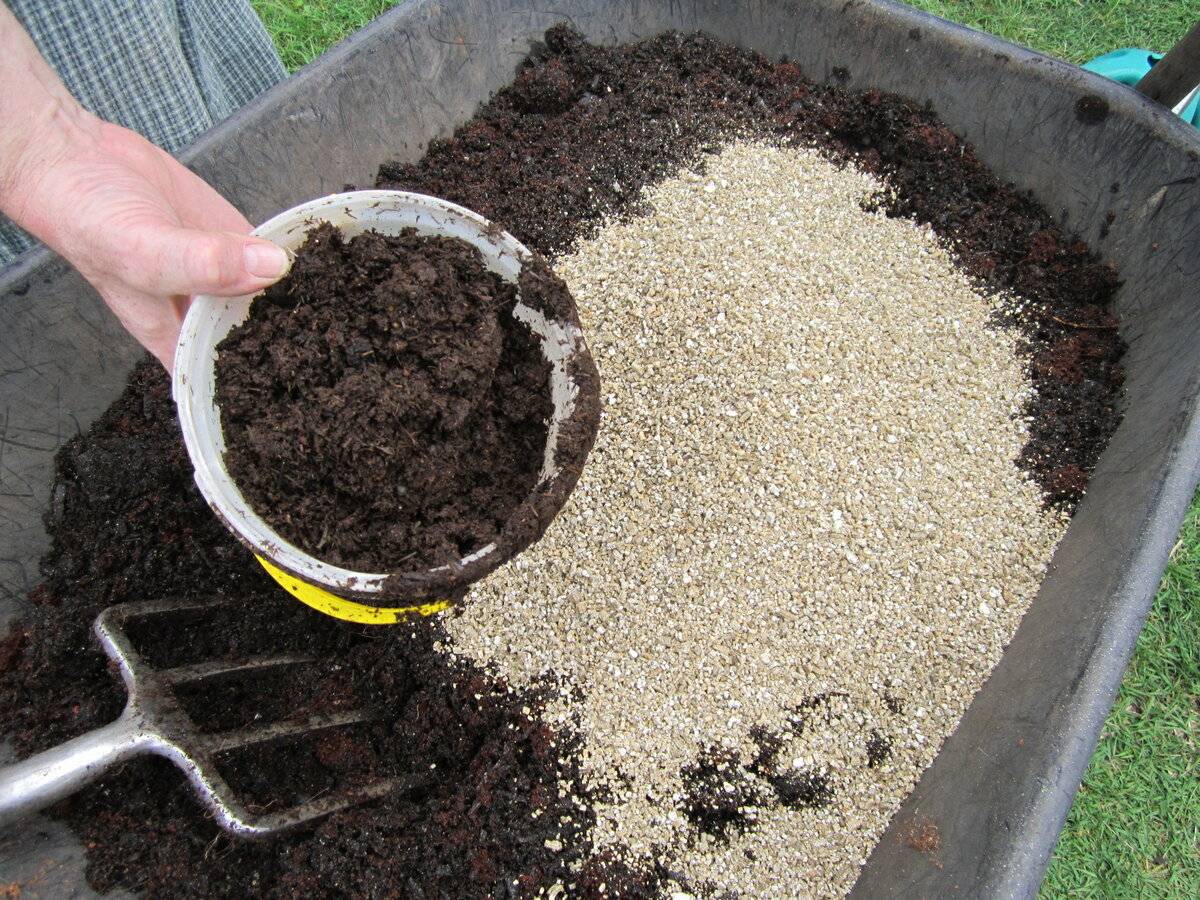 Подготовка почвы для рассады томатов: как приготовить землю своими руками