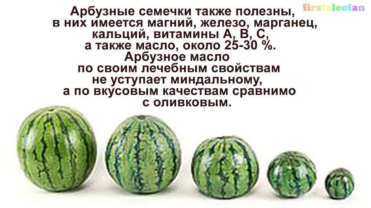 Польза и вред арбуза / как есть его правильно – статья из рубрики "польза или вред" на food.ru