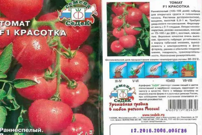 Характеристика томата Красотка и выращивание гибридного сорта