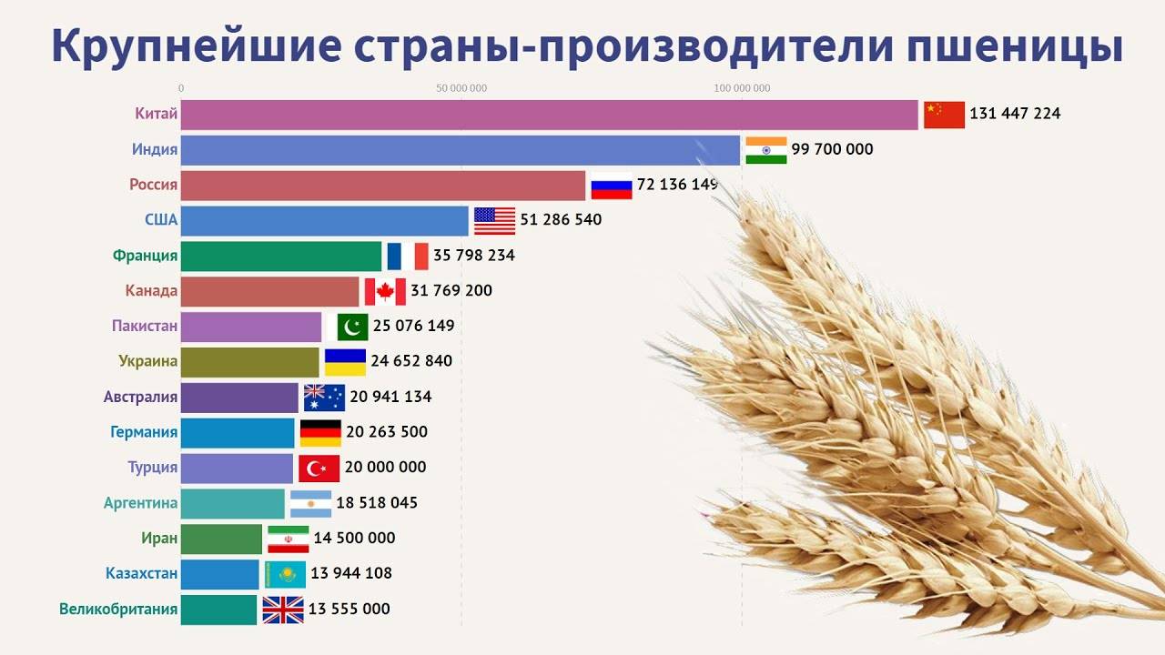 30 регионов - лидеров по сбору зерна в россии в 2021 году