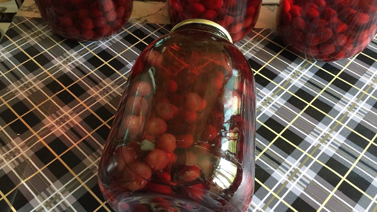 Компот из вишни в домашних условиях - простые рецепты заготовки на зиму